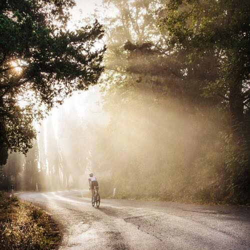 gorgeous-climbing-photo-in-the-trees-with-sunlight-filtering