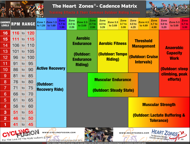 Cadence + Heart Rate